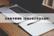 公会电子游戏机（游戏公会公司怎么运作）
