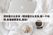 棺材是什么生肖（棺材是什么生肖,猜一个动物,答案解释落实,原创）