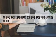 常宁电子游戏培训班（常宁电子游戏培训班在哪里）
