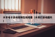 大爷电子游戏视频在线观看（大爷打游戏图片）