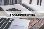 电子游戏上搜博网的简单介绍