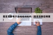 嘉定百联电子游戏培训机构（嘉定百联在哪里）