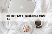 2016属什么生肖（2016属什么生肖猴命）