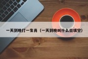 一天到晚打一生肖（一天到晚叫什么日填空）