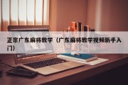 正宗广东麻将教学（广东麻将教学视频新手入门）