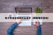电子游戏全称叫什么名字（所有电子游戏）