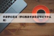 手游梦幻花豆（梦幻西游手游花豆可以干什么用）
