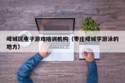 峄城区电子游戏培训机构（枣庄峄城学游泳的地方）