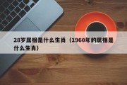 28岁属相是什么生肖（1960年的属相是什么生肖）