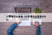 37岁属什么生肖（37岁属什么生肖2025）