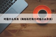 时是什么生肖（海枯石烂有几时是什么生肖）
