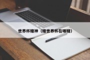 世界杯赌神（赌世界杯在哪赌）